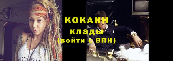 спиды Михайлов