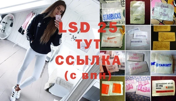 сатива Михайловка
