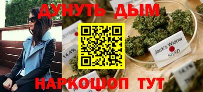дурь Гай