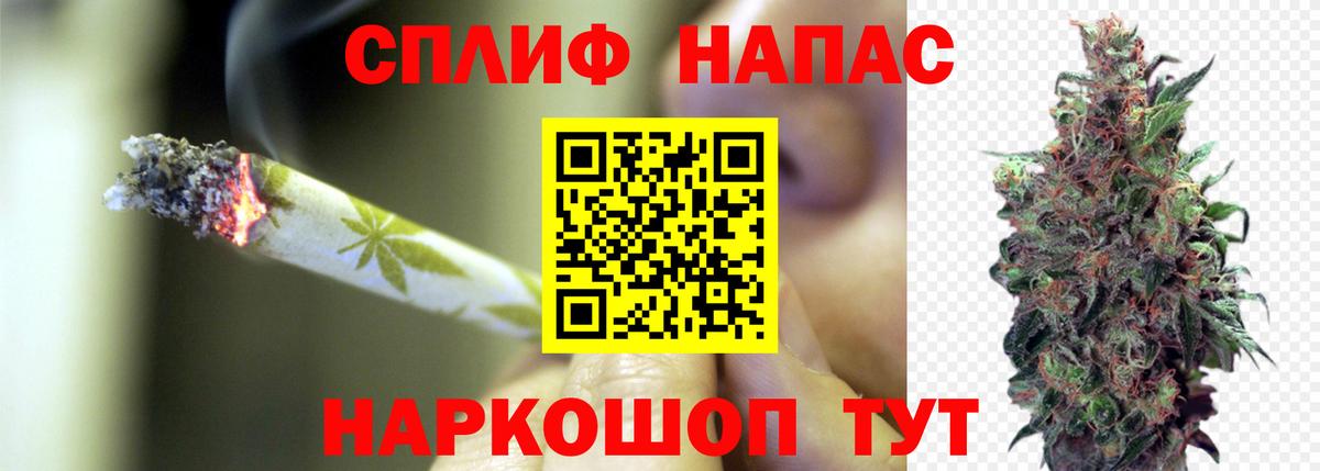 Пенза  МАРИХУАНА ГИДРОПОН  Вход с VPN  Конопля Bruce Banner  Бошки марихуана план 